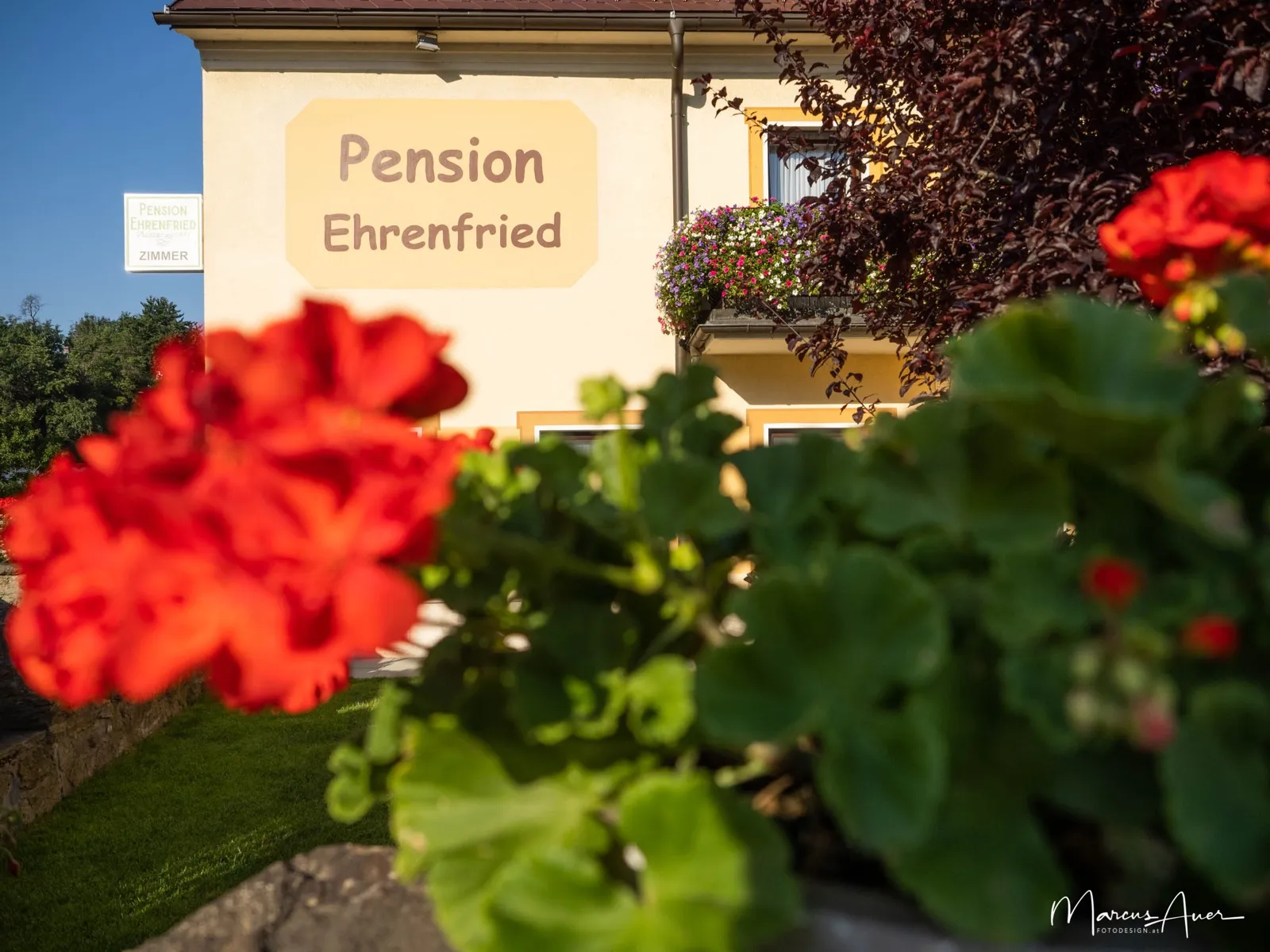 Rote Geranien vor dem Eingangsschild der Pension Ehrenfried